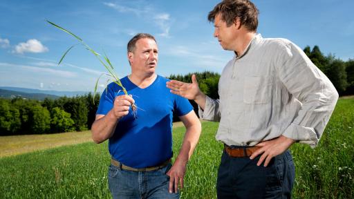 Olivier Mayor e Cédric Egger- Henniez (Svizzera)