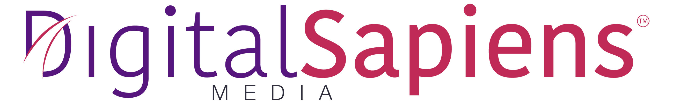 Digital Media Sapiens logo