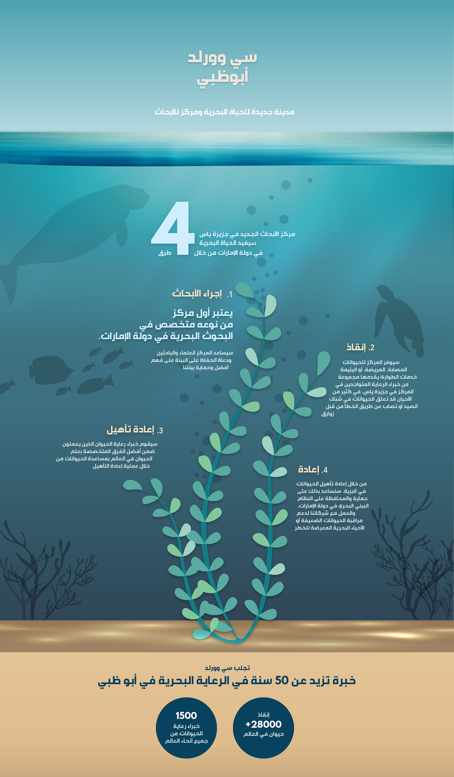 Infographic - SeaWorld Abu Dhabi (Arabic)