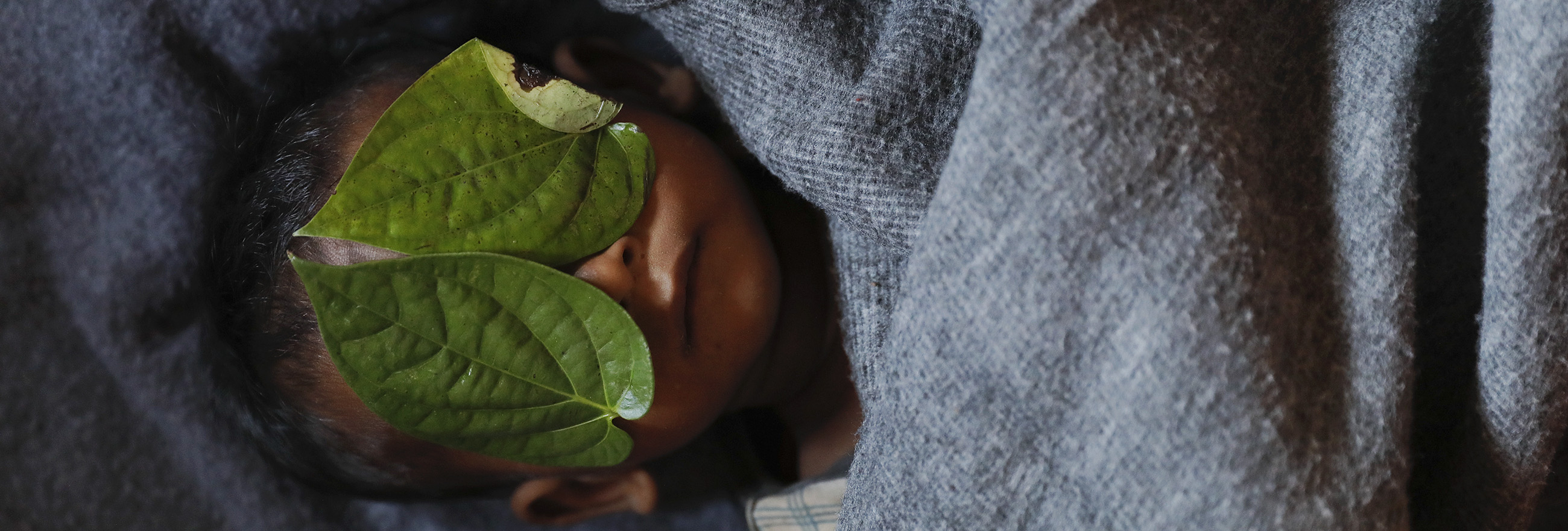 Leaves cover the eyes of 11 month old Rohingye refugee