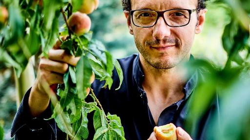 Kitchen garden, Behind the scene, Chef Simone Zanoni, Le George, Four Seasons Hotel George V