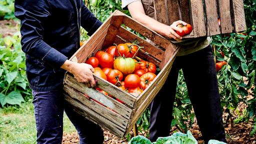 Kitchen garden, Chef Simone Zanoni, Mickaël Duval, Yvelines Departement council, Le George, Four Seasons Hotel George .