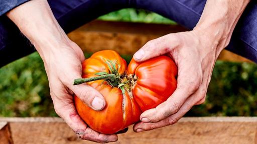 Kitchen garden, Behind the scene, local environmental initiative, Le George, Four Seasons Hotel George V