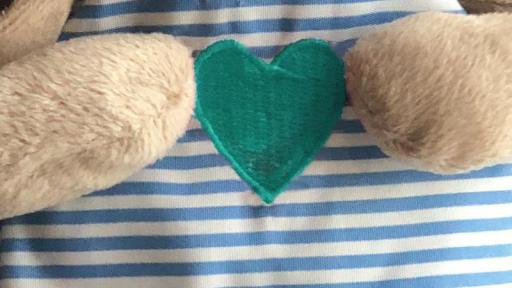 My heart is with the Saudi team