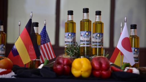 Olive Oil From Spain