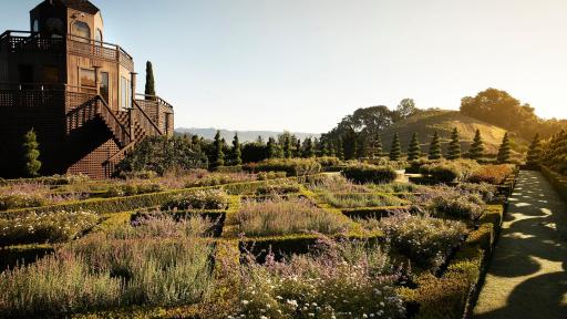 Newton Garden Summer