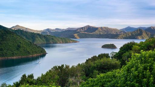 Cloudy Bay- Marlborough Sounds