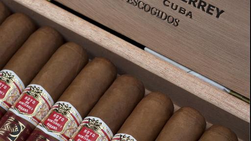 Hoyo de Monterrey 10 escogidos Launch