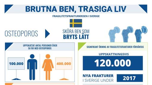 Broken Bones Broken Lives Report infographic for Sweden