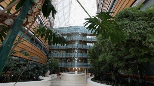 Sidra Medicine, Indoor Healing Garden, Doha Qatar, Getty Images