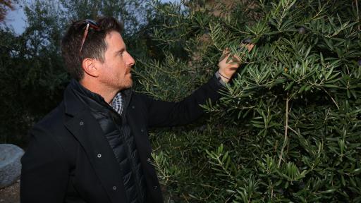 Image of Chef Seamus with olive tree in Spain