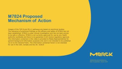 M7824, an investigational bifunctional immunotherapeutic, mechanism of action video