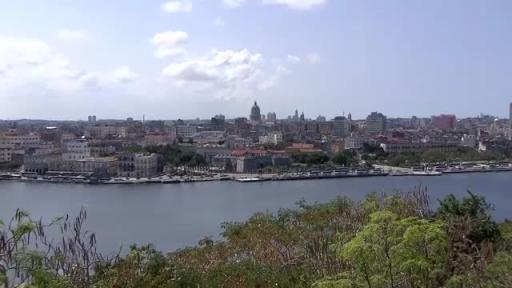 Habano Festival video.