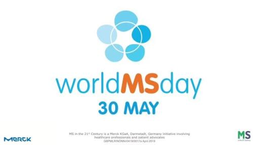 Understanding from the MS community why visibility matters