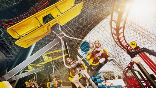 Image of Flying Wings