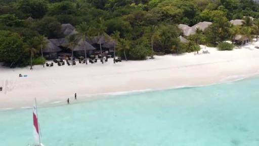 Explore Unique Island Experiences Video