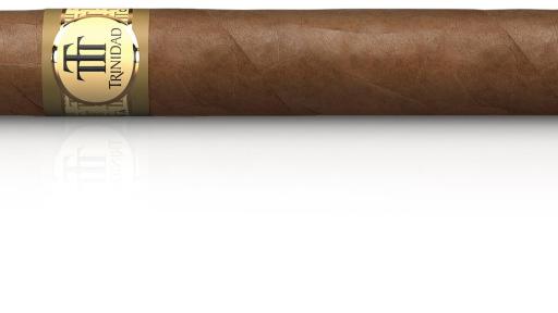 Image of Vitola of Trinidad Robustos Extra Travel Humidor (50 ring gauge x 155 mm length)