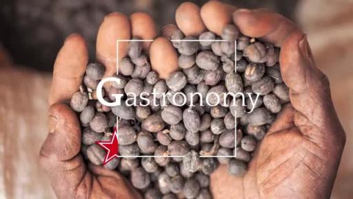 S.Pellegrino Young Chef Academy where talent knows no boundaries video