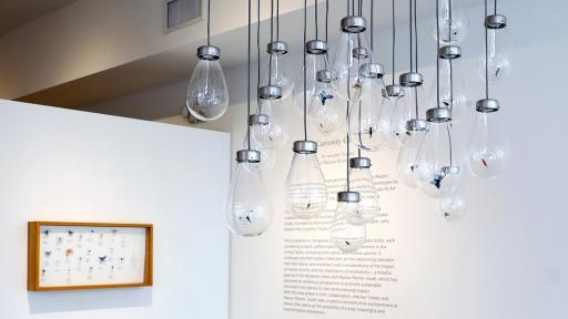 Image of Curiosity Cloud - mischer'traxler for Perrier-Jouët at Design Miami 2020