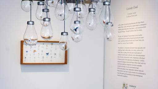 Image of Curiosity Cloud - mischer'traxler for Perrier-Jouët at Design Miami 2020