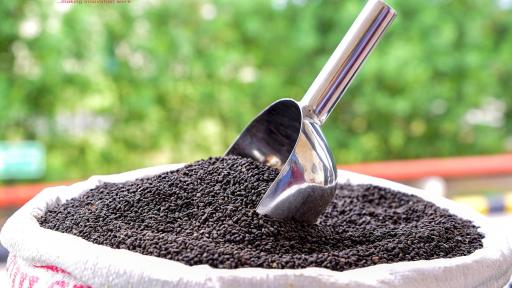 Image of Sytenol<sup>®</sup> A comes from a monomolecular extraction from the Babchi seeds, it contains over 99% Bakuchiol