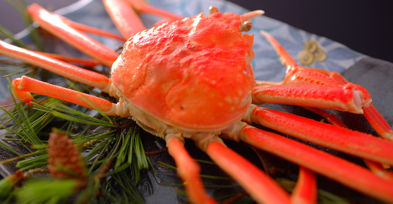 Image of an orange crab ready to eat