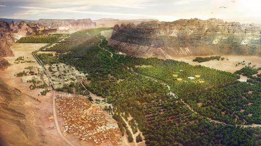 Image of The Cultural Oasis