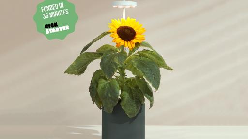 Image of Nano Garden