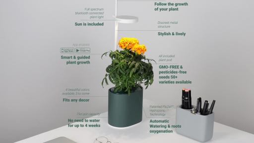 Image of Nano Garden