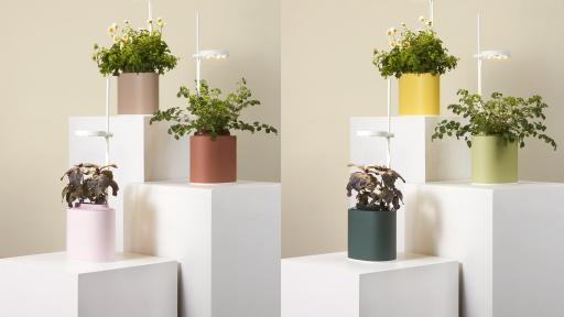 Image of Nano Garden using hydroponics and a smart grow light