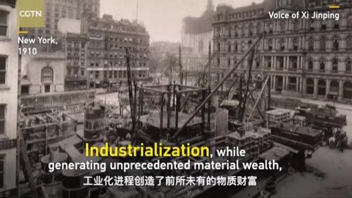 Nature-Human Harmony