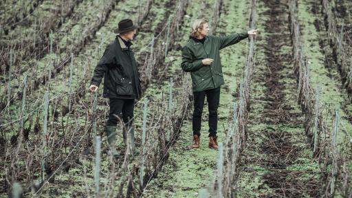 Image of Bertrand Lhôpital, Cellar Master and Head of Viticulture and Ludovic du Plessis, President of the House of Telmont