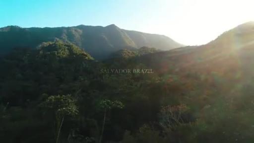 Tik Tok Brazil Video