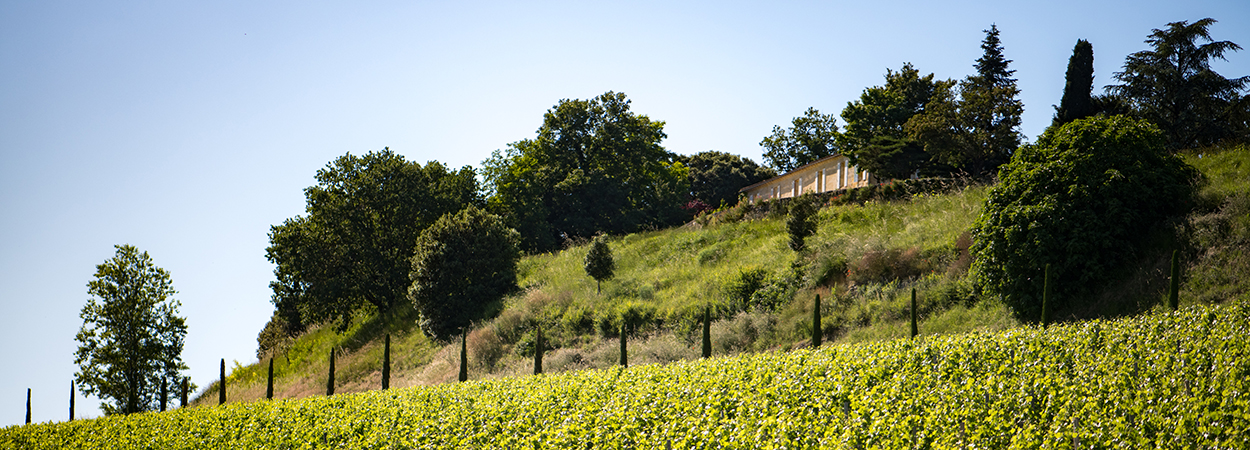 CH&Acirc;TEAU QUINTUS GROWS WITH THE ACQUISITION OF CH&Acirc;TEAU GRAND-PONTET