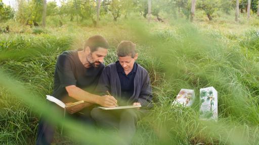 ARBRES SUR COLLINE sketching