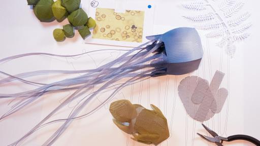 Embodied nature work in progress