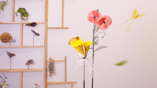 Embodied Nature Shelf