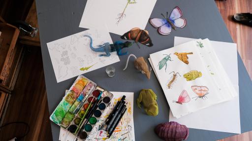 I am nature work in progress