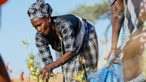 archive clarins@olivier loser