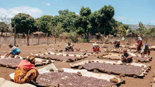 archive clarins@olivierloser