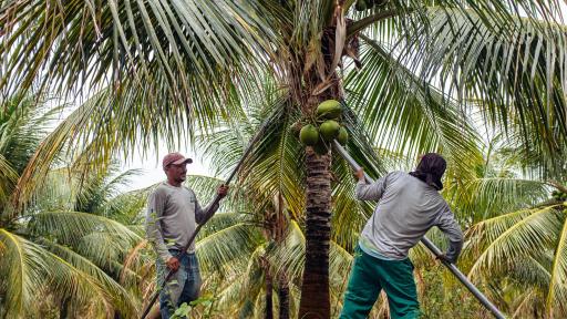 archive clarins@olivierloser[1]