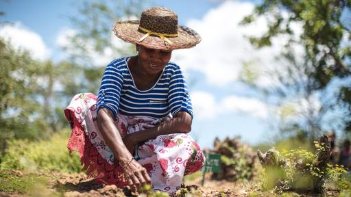 archive clarins@olivierloser[2]