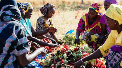 archives clarins@olivier loser