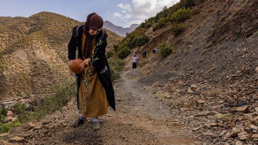 MOROCCO ECOSYSTEM SAAD ALAMI