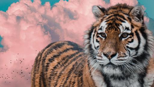 Photomontage_Tiger