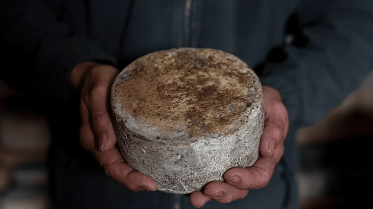 Food For Change 2023 - Auberge Basque - English