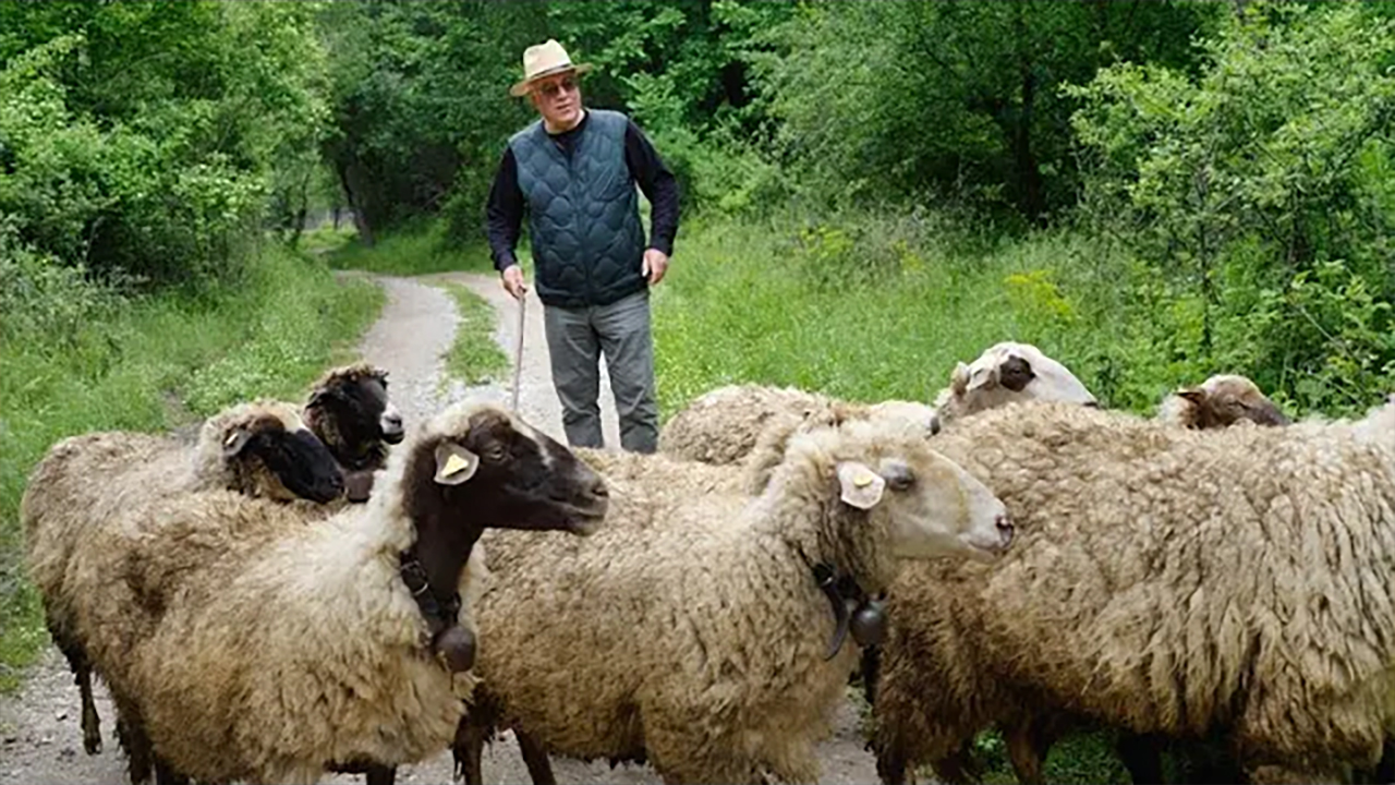 Food For Change 2023 - Zornitza Family Estate - English