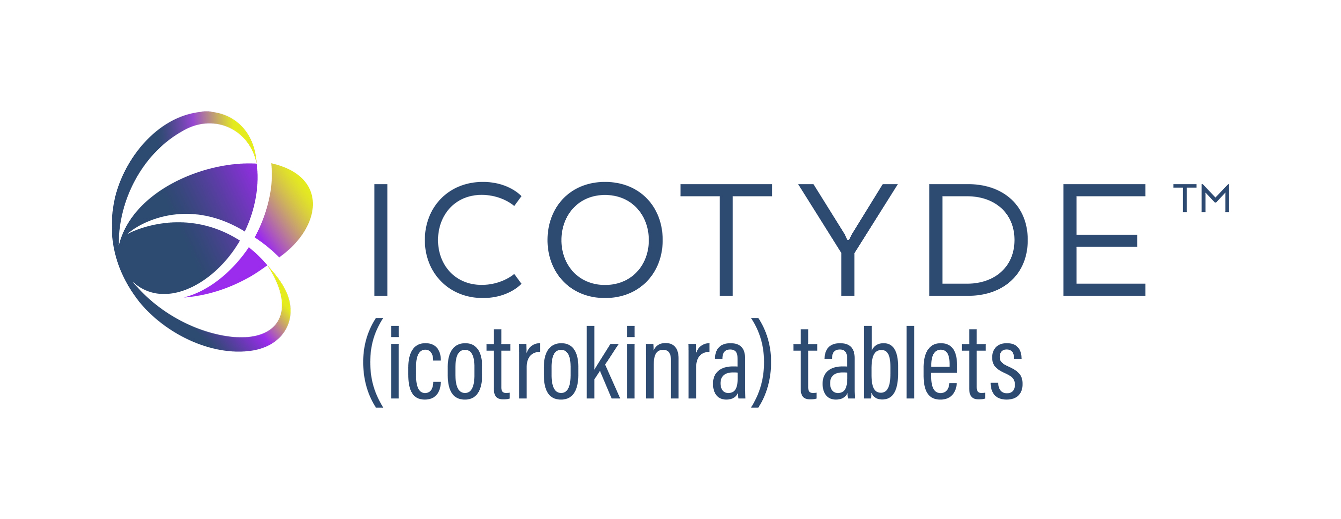 The official ICOTYDE logo