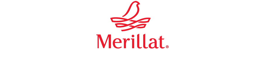 New Initiatives from Merillat Show Homeowners How to Create Their Dream