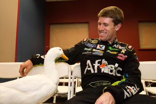 Carl and Aflac duck